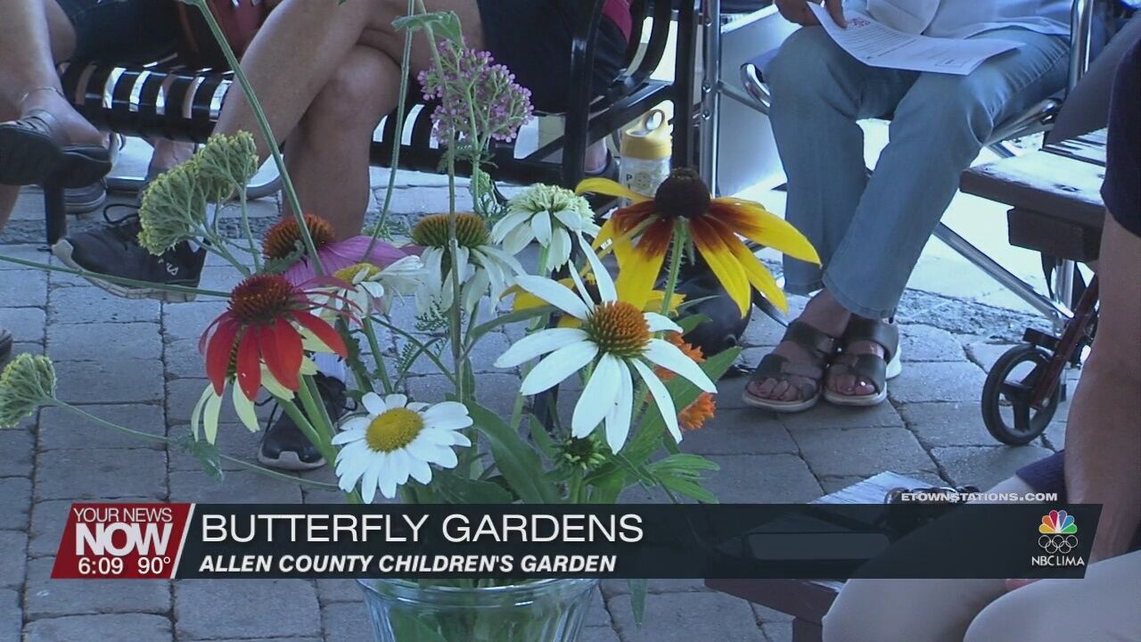 Allen County Master Gardeners give tips on making a home for butterflies in your yard